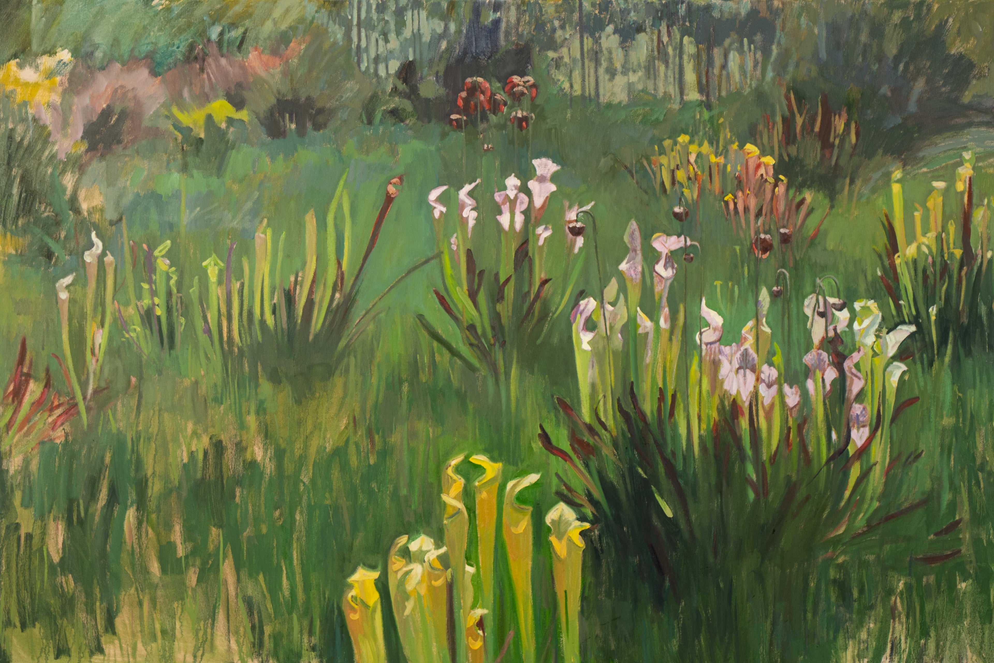 Flora
