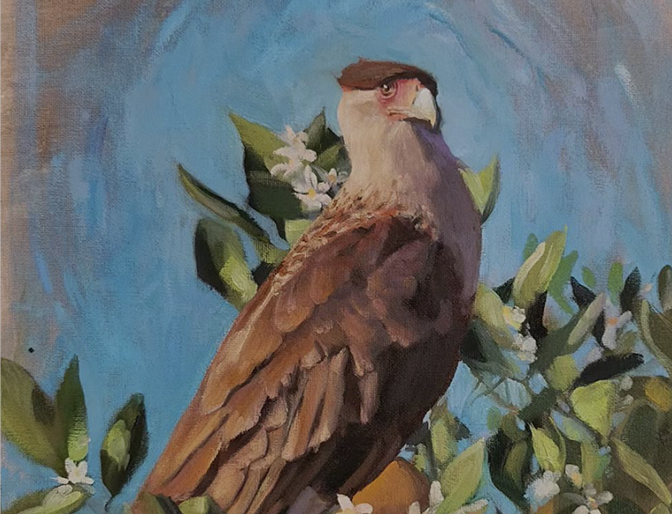 Wildlife